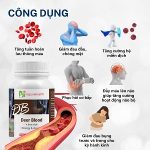 Viên nang máu hươu bổ máu, cấp sắt Deer Blood NZPurehealth