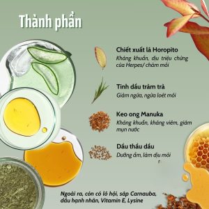 Kem hỗ trợ chàm môi, herpes môi Kolorex Kolsore Lip Care Ointment