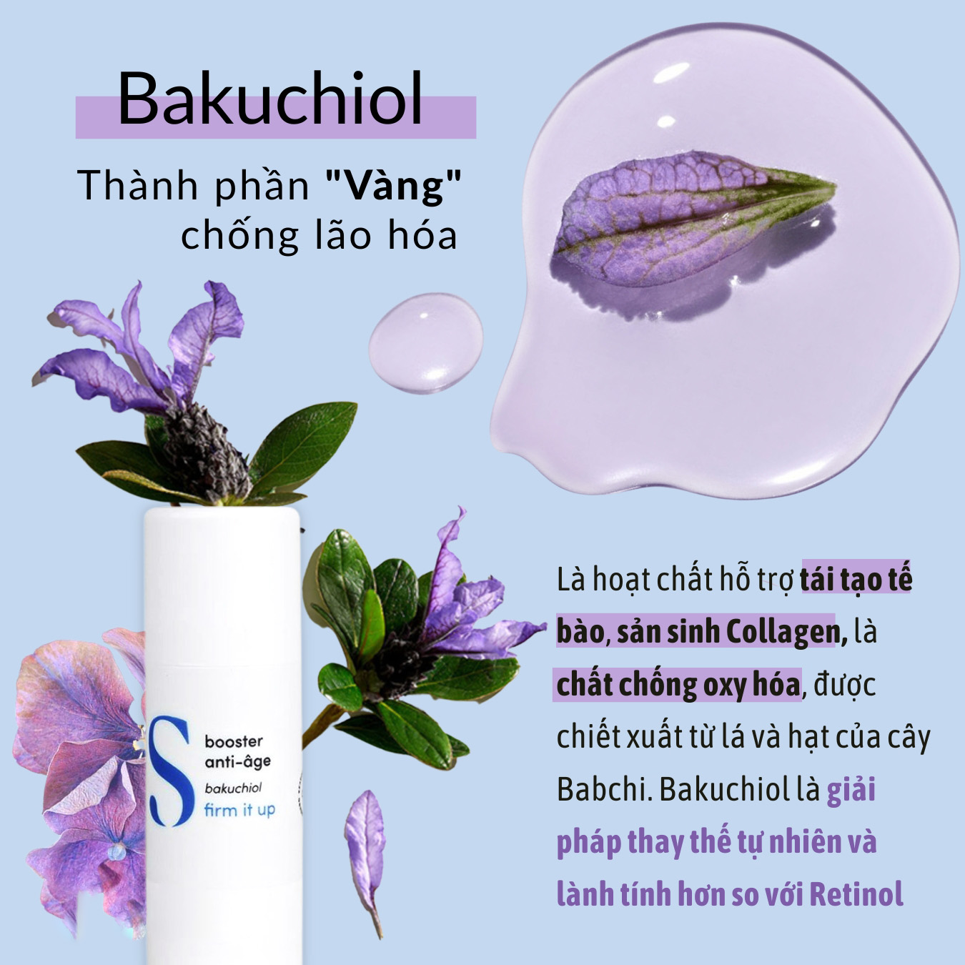 Serum tăng cường chống lão hóa chứa Bakuchiol Seasonly Anti-Aging Booster Serum 10ml