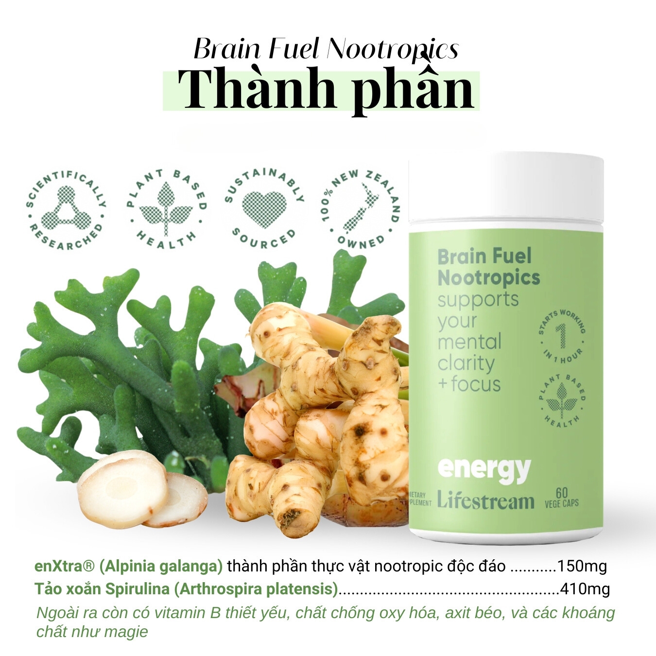 Viên uống tăng cường tập trung, tỉnh táo và năng lượng Lifestream Brain Fuel Nootropics (60 Viên)