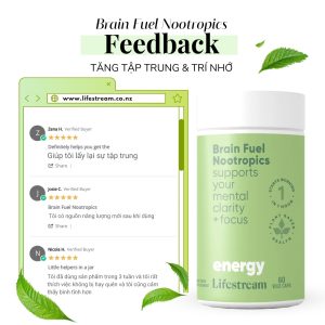 Viên uống tăng cường tập trung, tỉnh táo và năng lượng Lifestream Brain Fuel Nootropics (60 Viên)