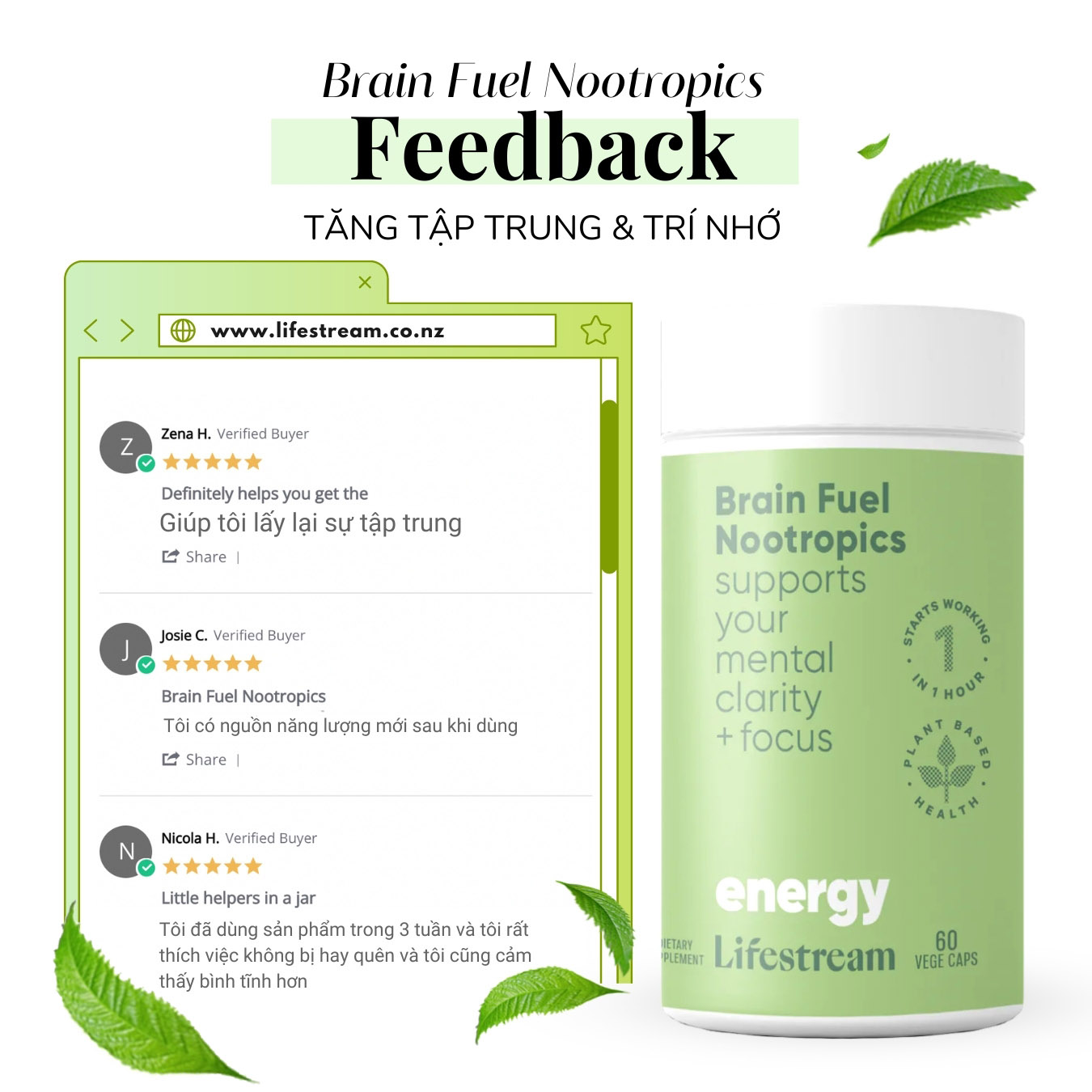 Viên uống tăng cường tập trung, tỉnh táo và năng lượng Lifestream Brain Fuel Nootropics (60 Viên)