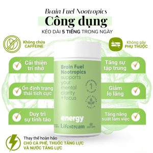 Viên uống tăng cường tập trung, tỉnh táo và năng lượng Lifestream Brain Fuel Nootropics (60 Viên)