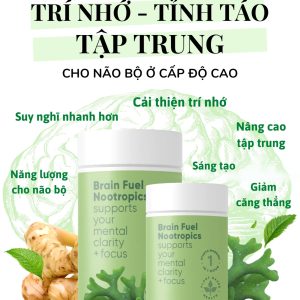 Viên uống tăng cường tập trung, tỉnh táo và năng lượng Lifestream Brain Fuel Nootropics (60 Viên)
