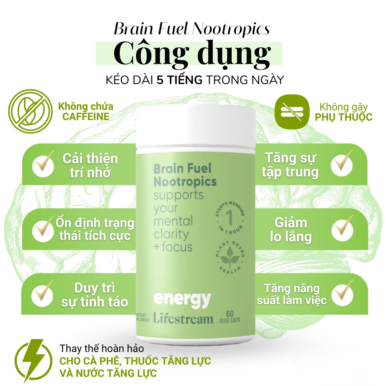 Viên uống tăng cường tập trung, tỉnh táo và năng lượng Lifestream Brain Fuel Nootropics (60 Viên)