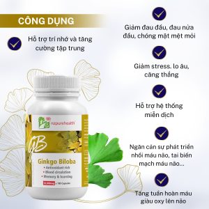Viên Uống Bổ Não, Tăng Trí Nhớ Ginkgo Biloba NZPureHealth - 30 và 100 viên
